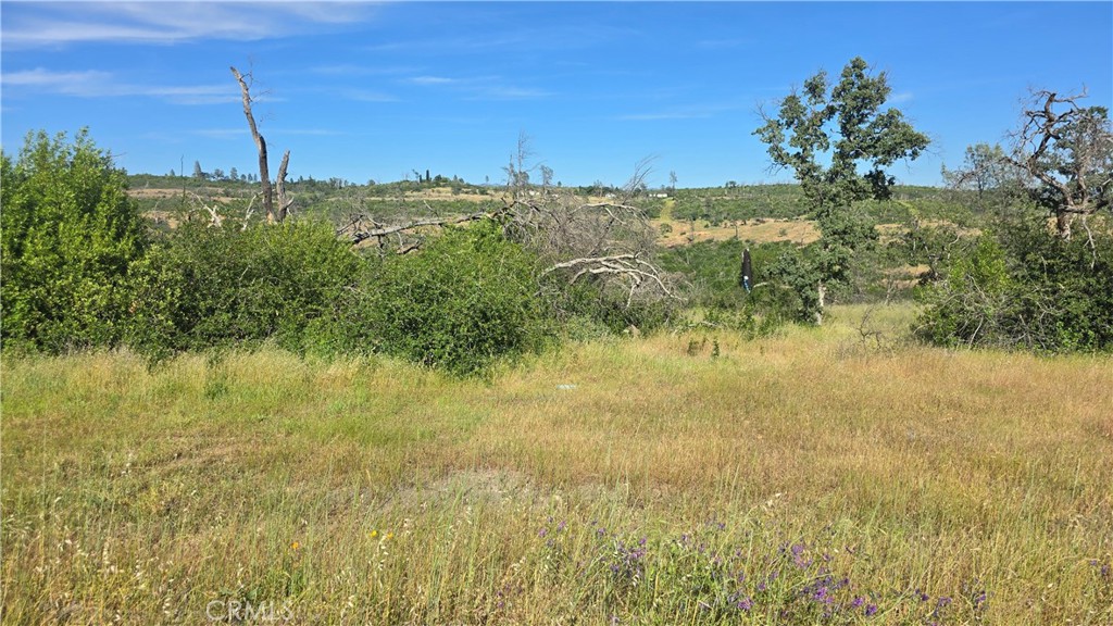 0 Clark Property Photo 15