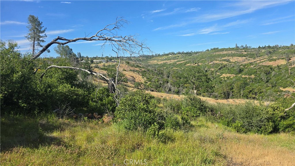 0 Clark Property Photo 16