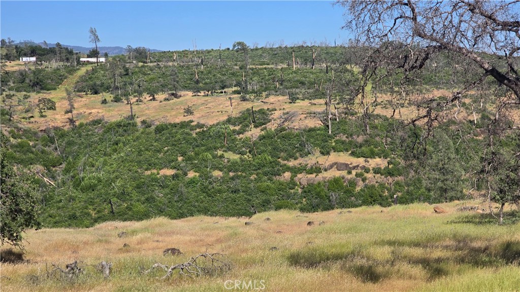 0 Clark Property Photo 17