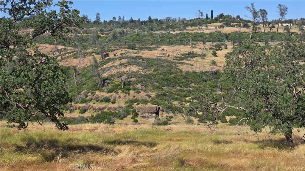 0 Clark Property Photo 19
