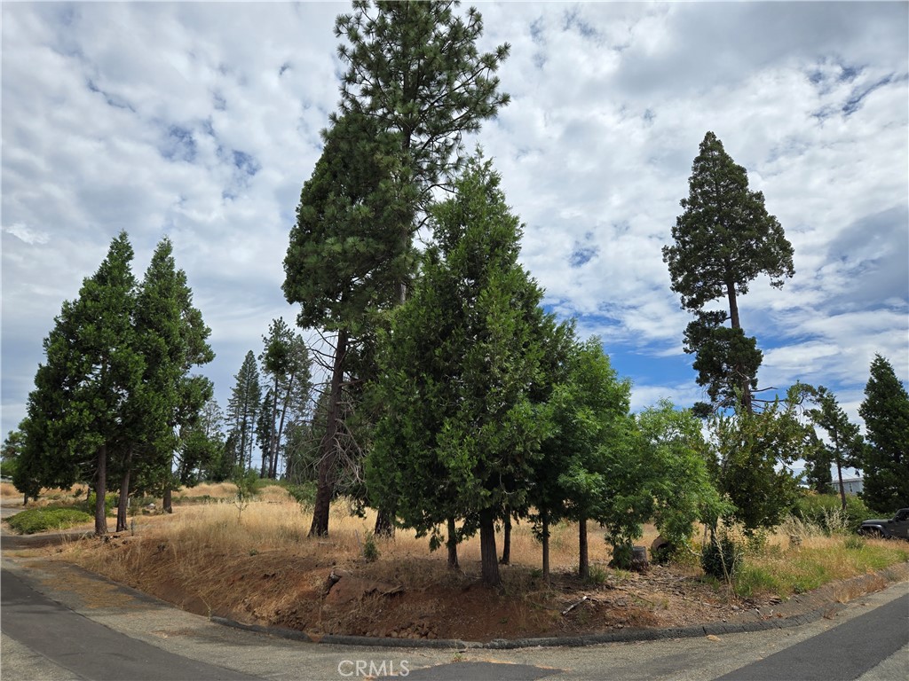13549 S Park Property Photo 1