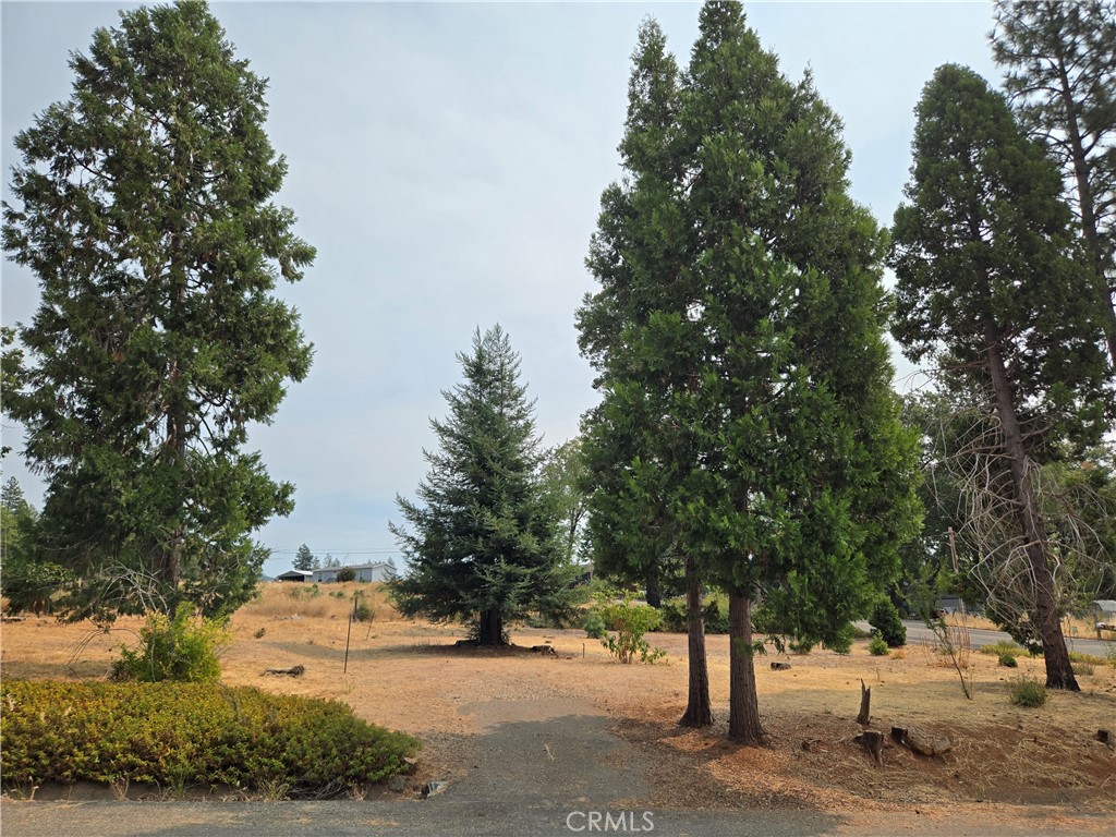 13549 S Park Property Photo 1