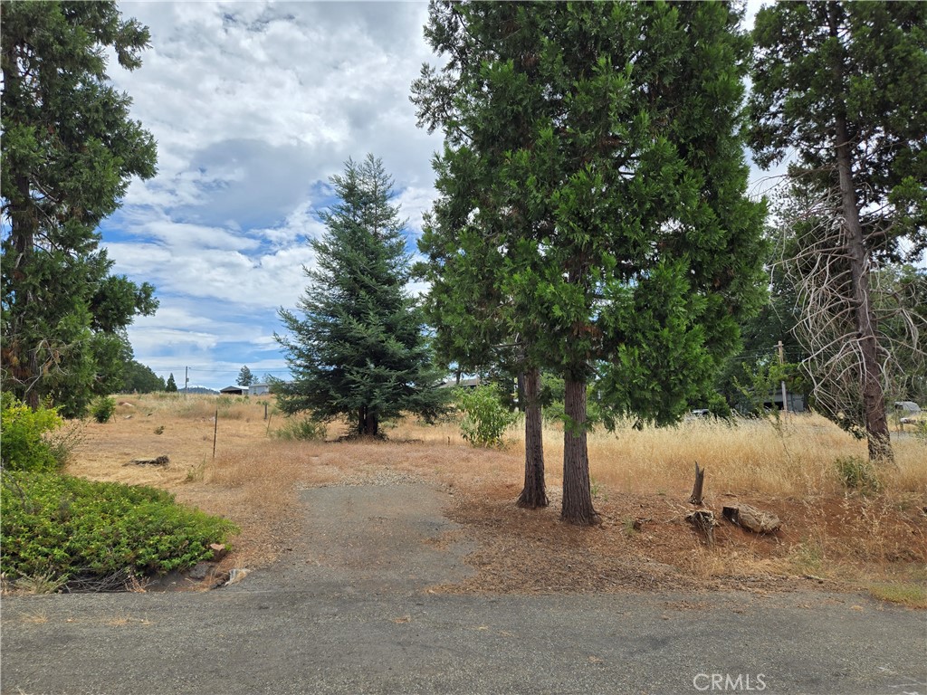 13549 S Park Property Photo 2