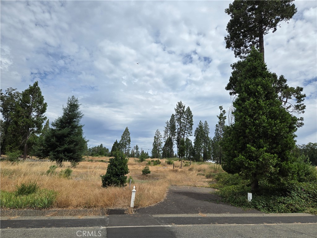13549 S Park Property Photo 3
