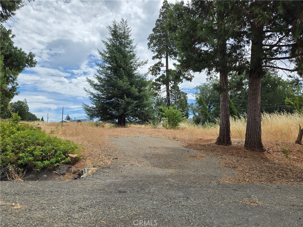 13549 S Park Property Photo 4