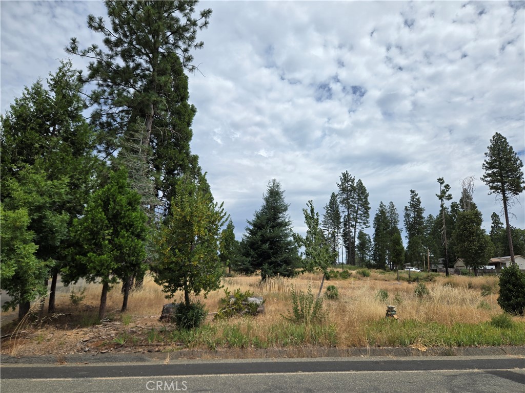 13549 S Park Property Photo 5
