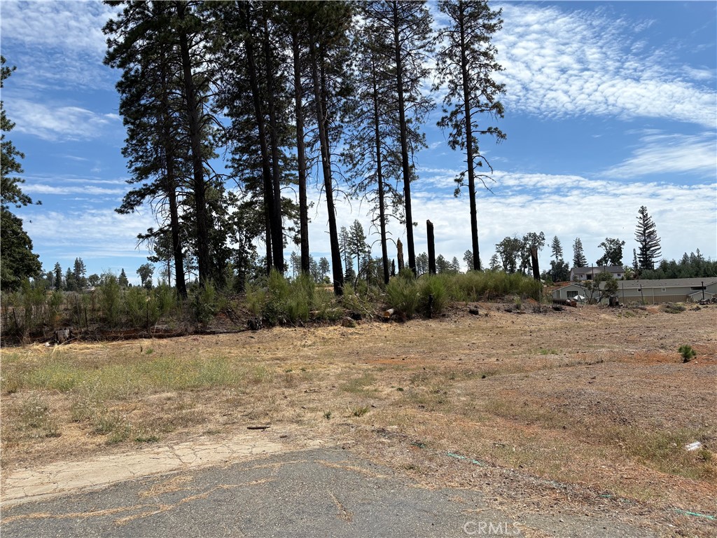 7224 Skyway Property Photo 8