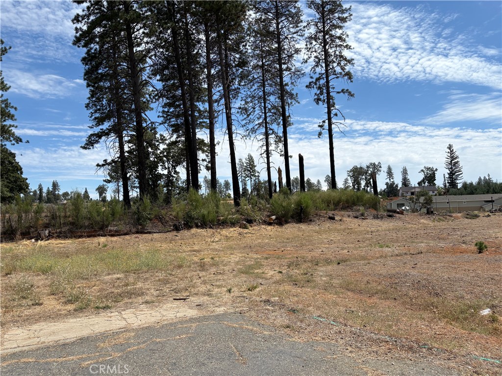 7224 Skyway Property Photo 8