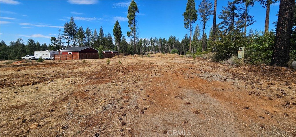 6323 Ponderosa Property Photo 3