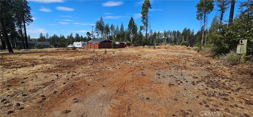 6323 Ponderosa Property Photo 4