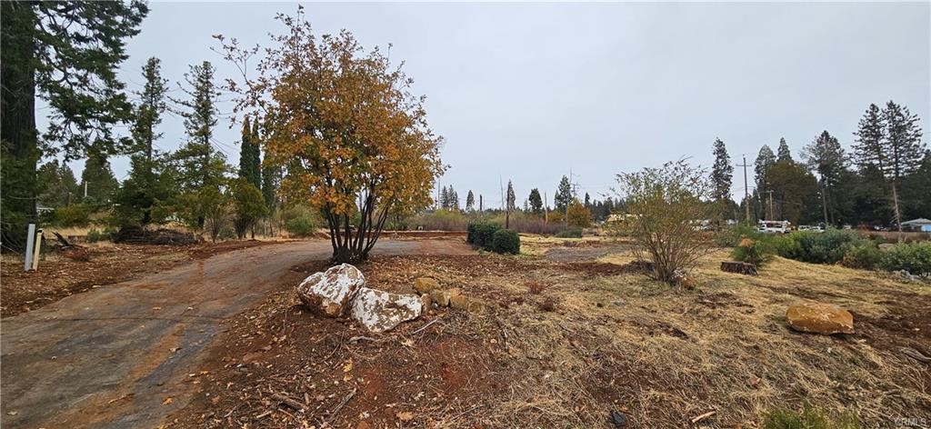 6197 Ponderosa Property Photo 3