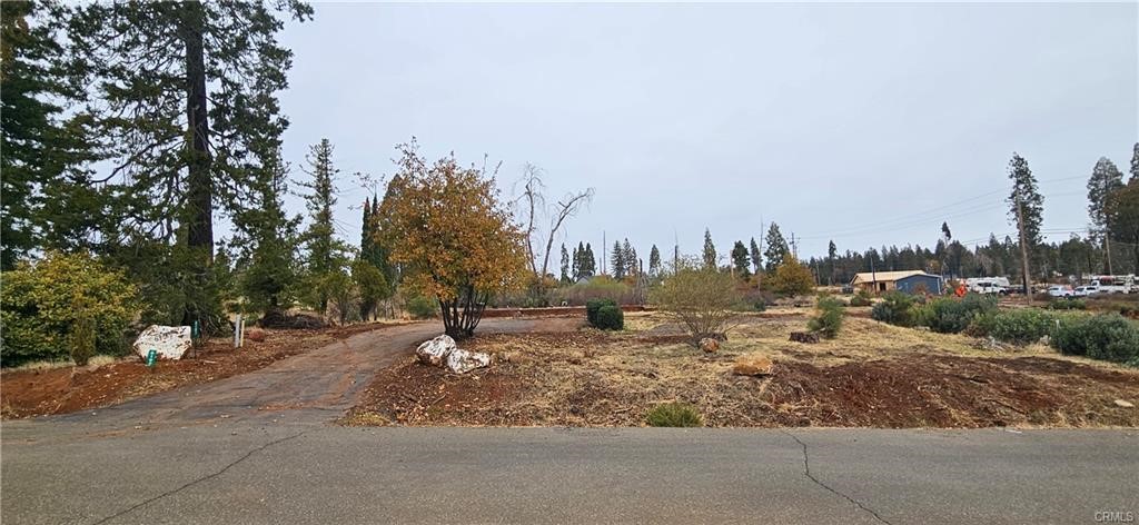 6197 Ponderosa Property Photo 4