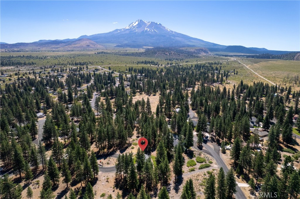 17653 Cougar Court Property Photo 44