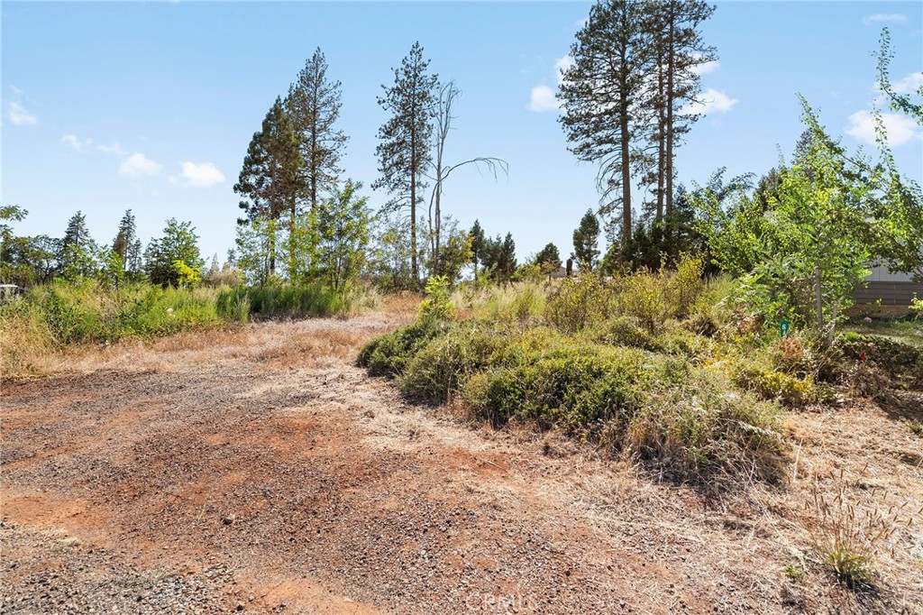 6471 Simon Property Photo 1