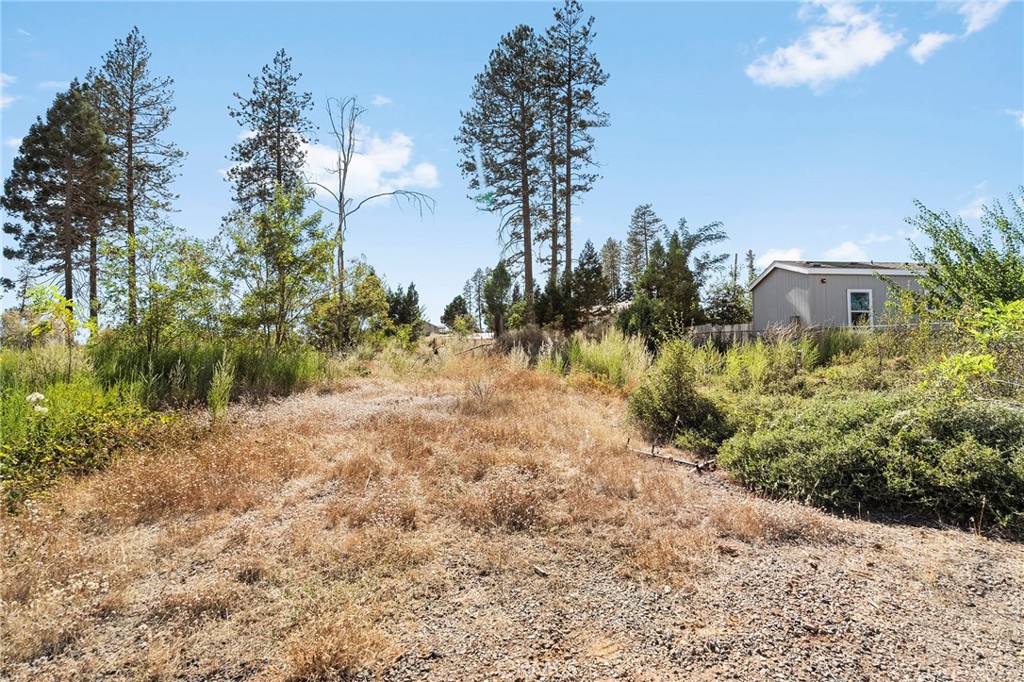6471 Simon Property Photo 2