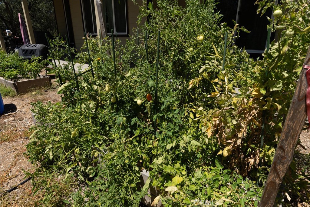 22 Pleasant Oak Property Photo 30