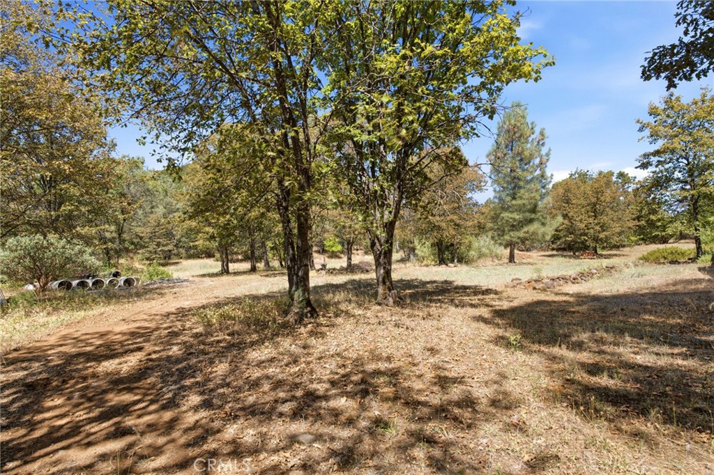 29529 Ca 299 East Property Photo 52