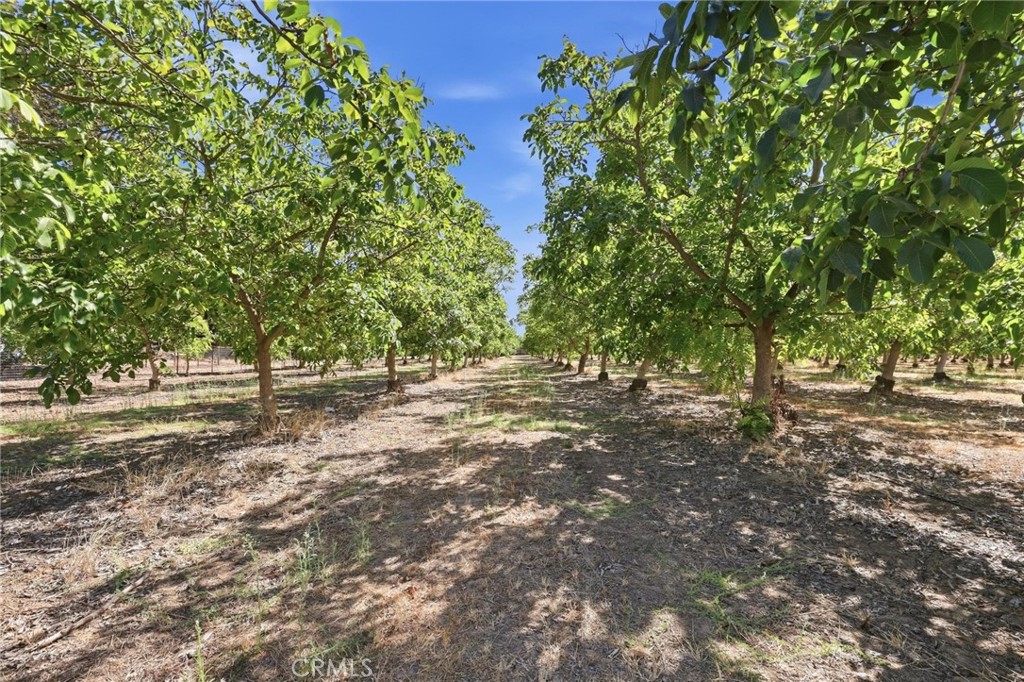 491 Justeson Property Photo 34