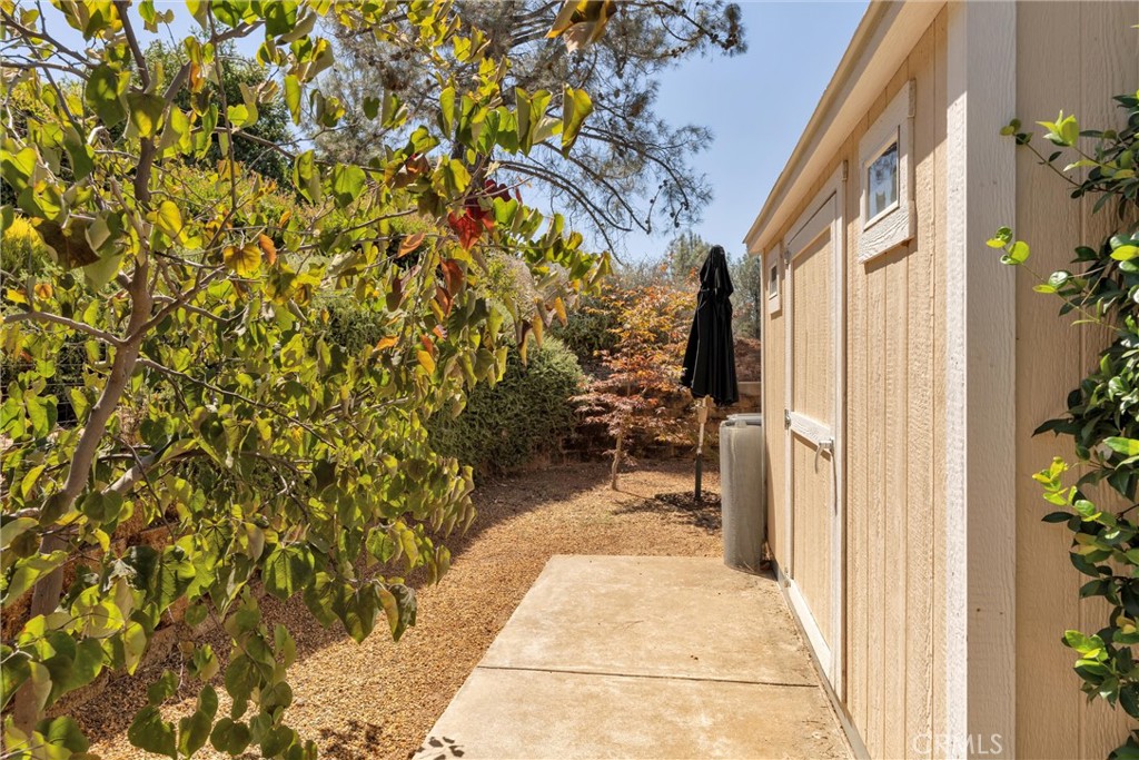 4519 Sierra Del Sol Property Photo 59