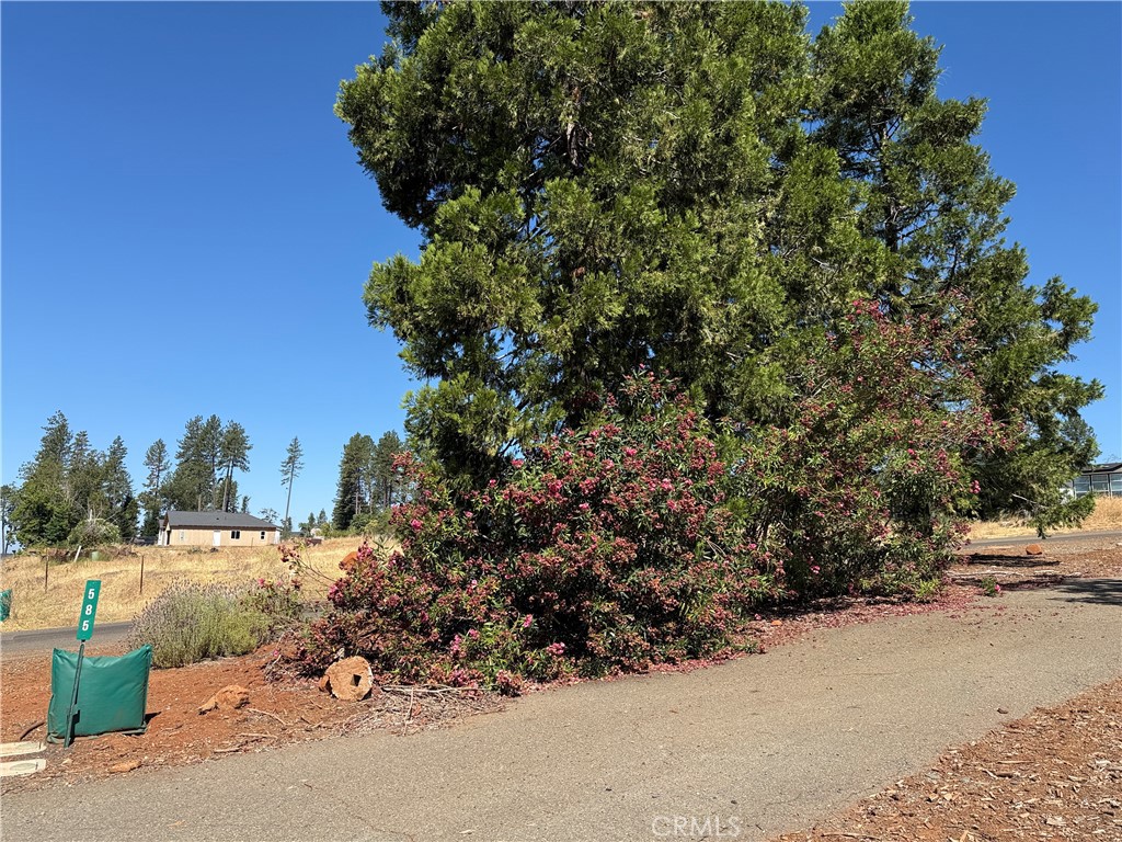 585 Sunset Drive Property Photo 1