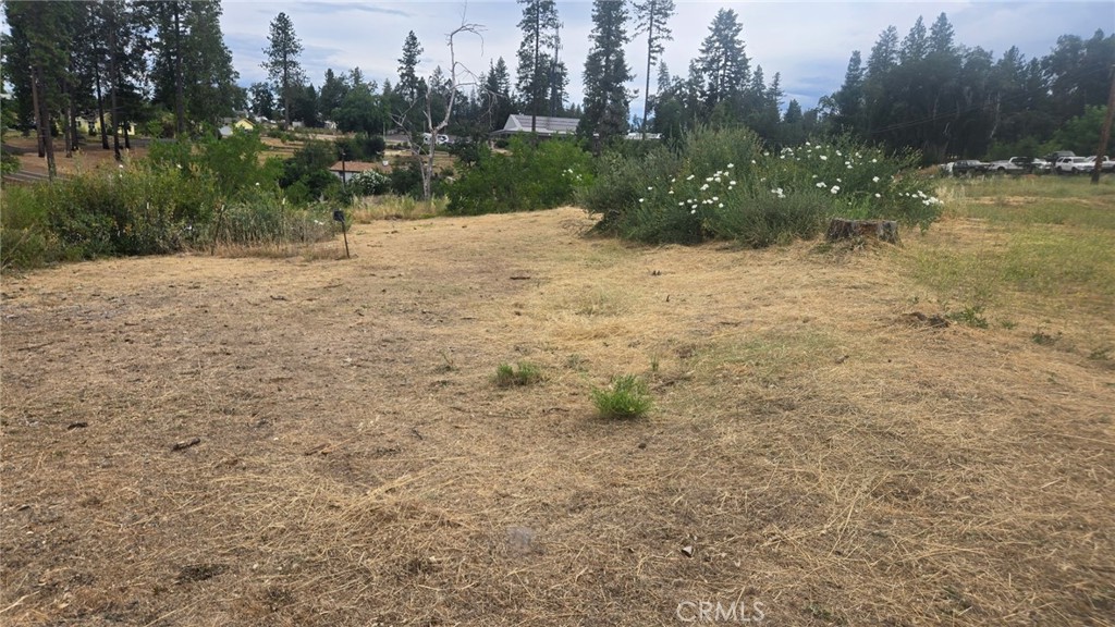 1025 Howard Property Photo 1