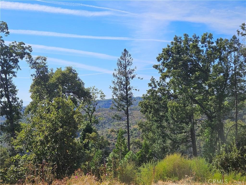 6921 Quail Property Photo 3