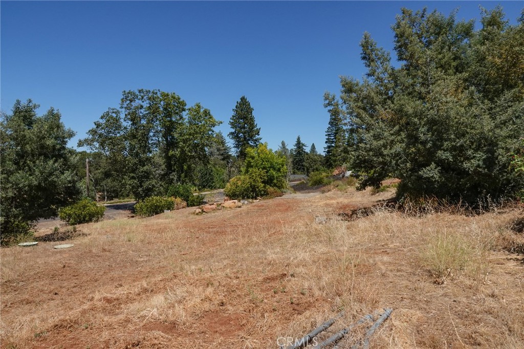 262 Rose Property Photo 1