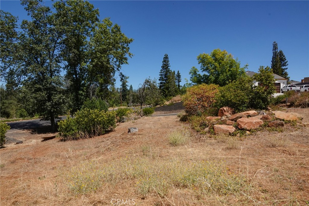 262 Rose Property Photo 4