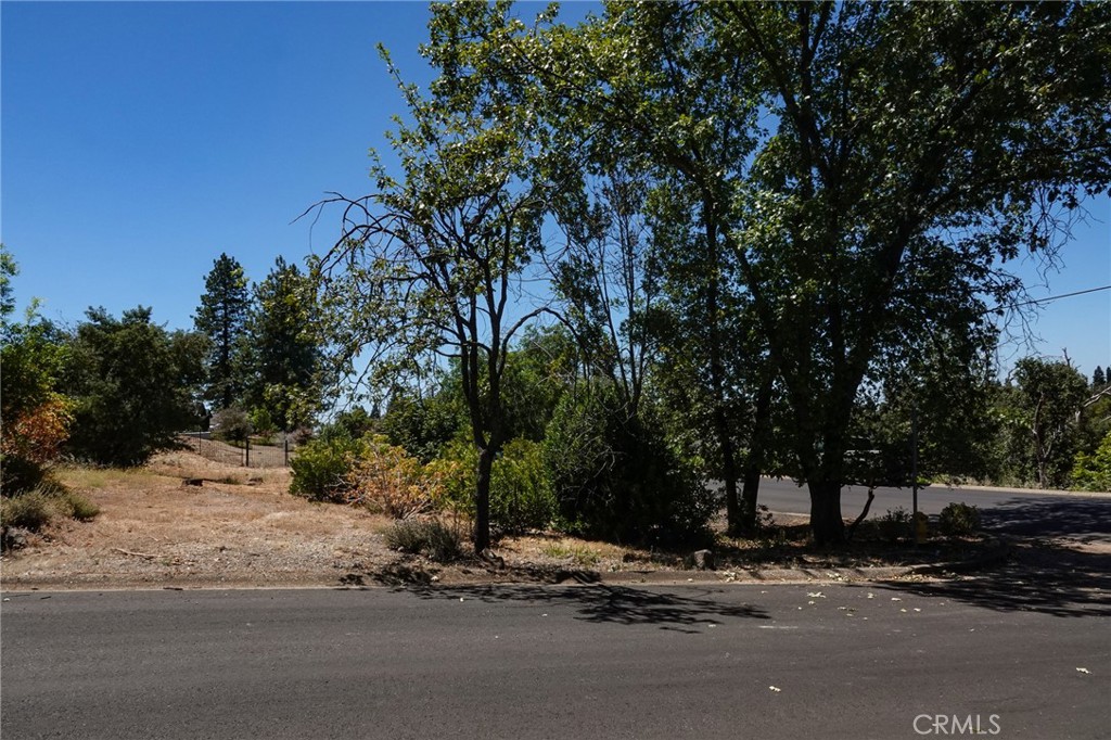 262 Rose Property Photo 6