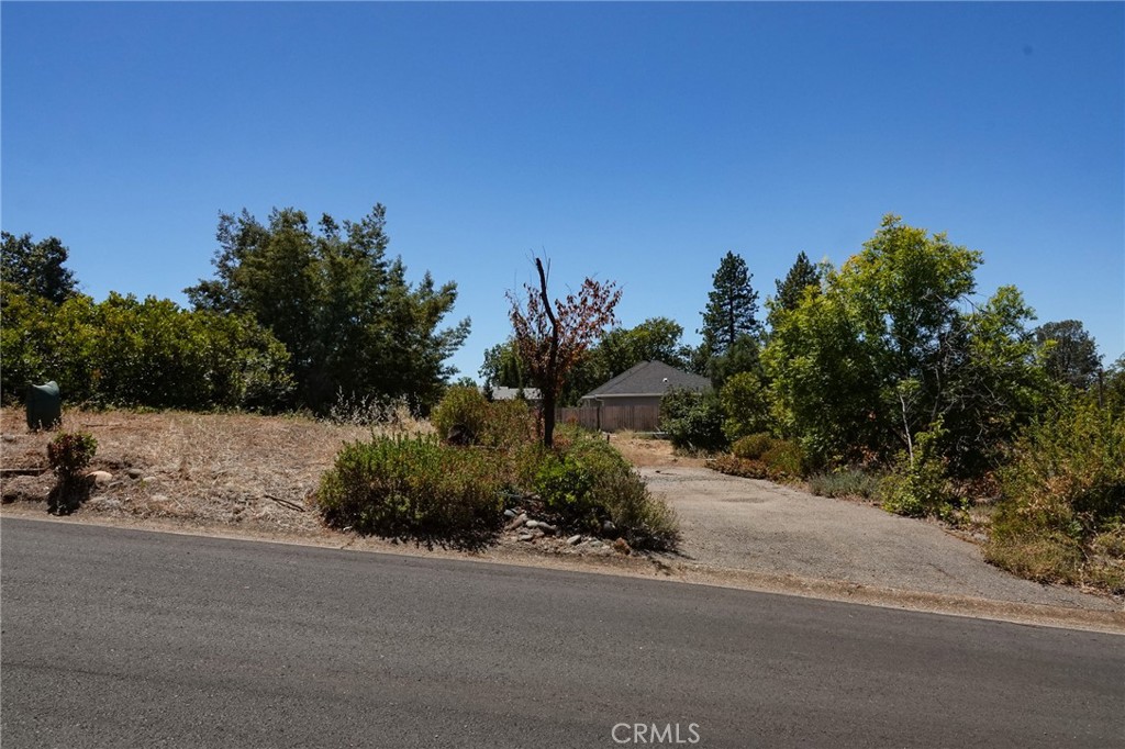 262 Rose Property Photo 11