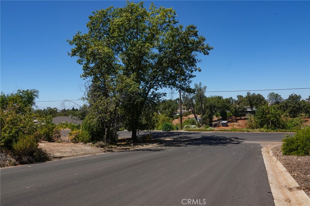 262 Rose Property Photo 13