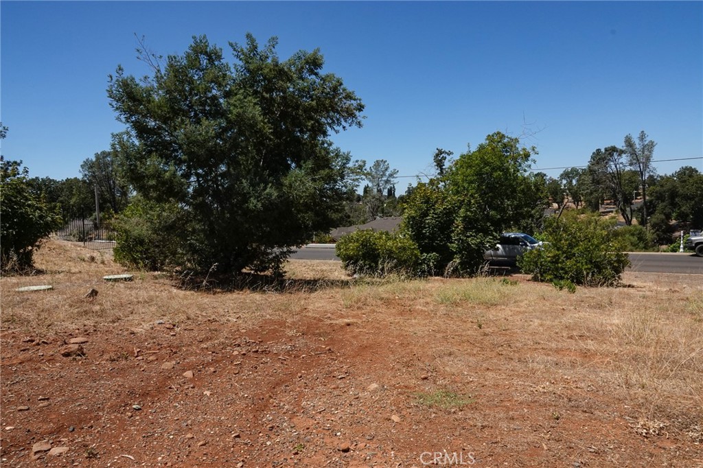 262 Rose Property Photo 19