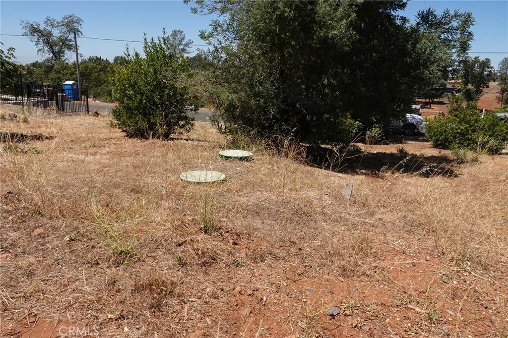 262 Rose Property Photo 21
