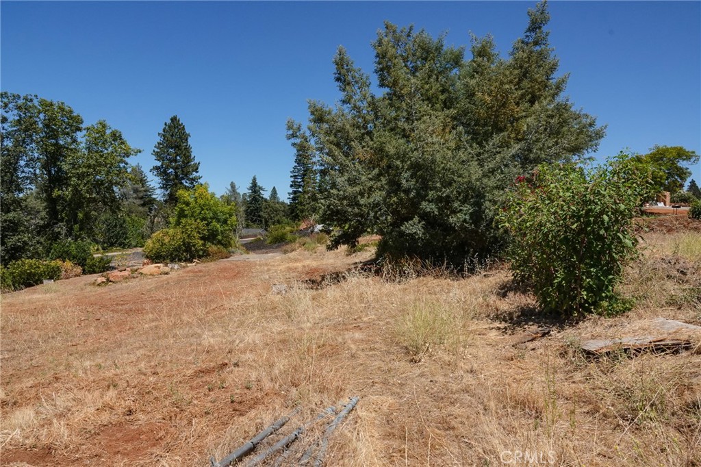 262 Rose Property Photo 22
