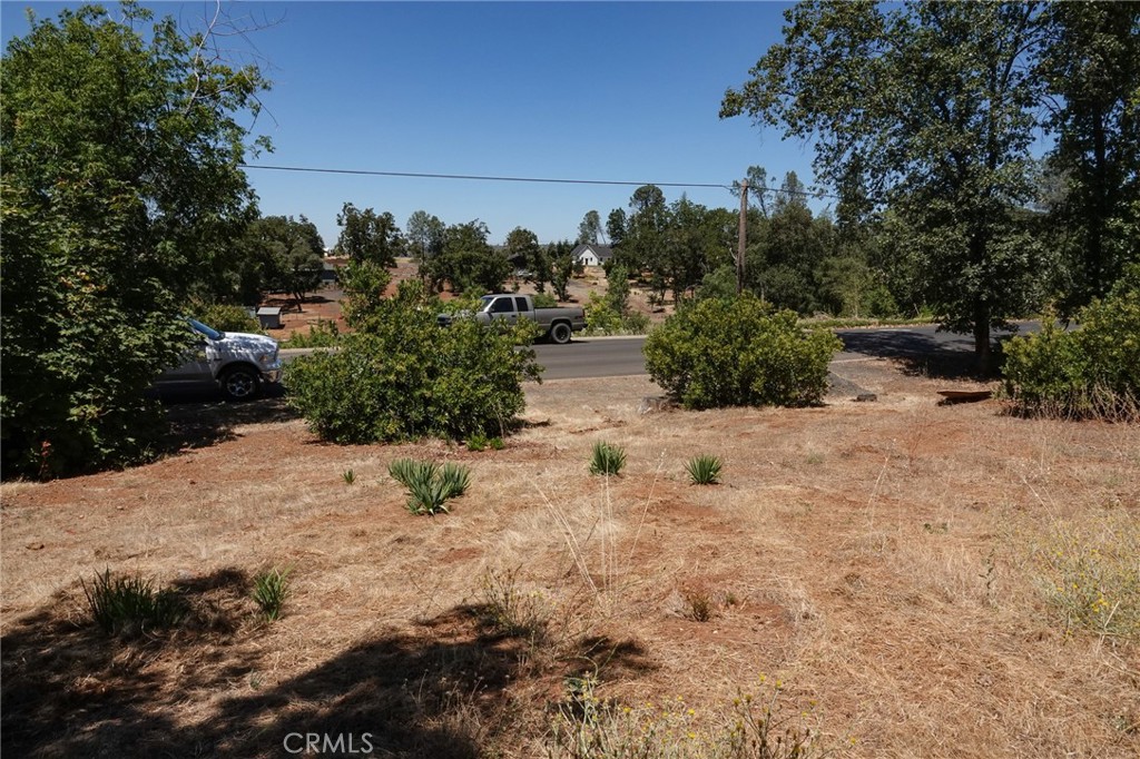 262 Rose Property Photo 24