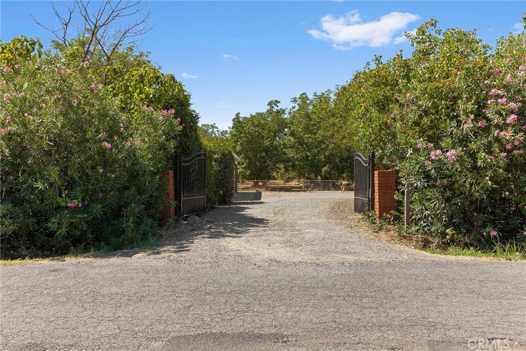 23353 Hamilton Property Photo 2