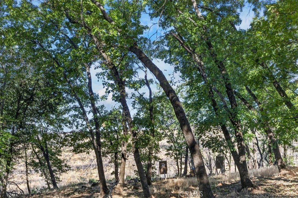 43 Dacy Property Photo 56