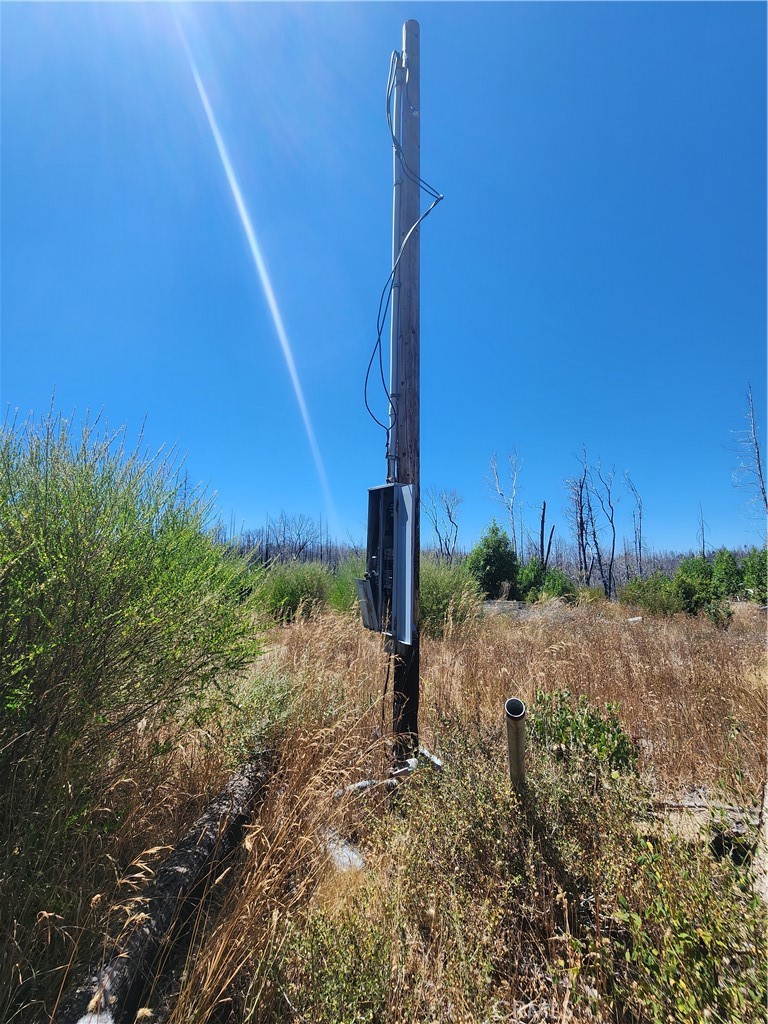 1145 Bald Rock Property Photo 3