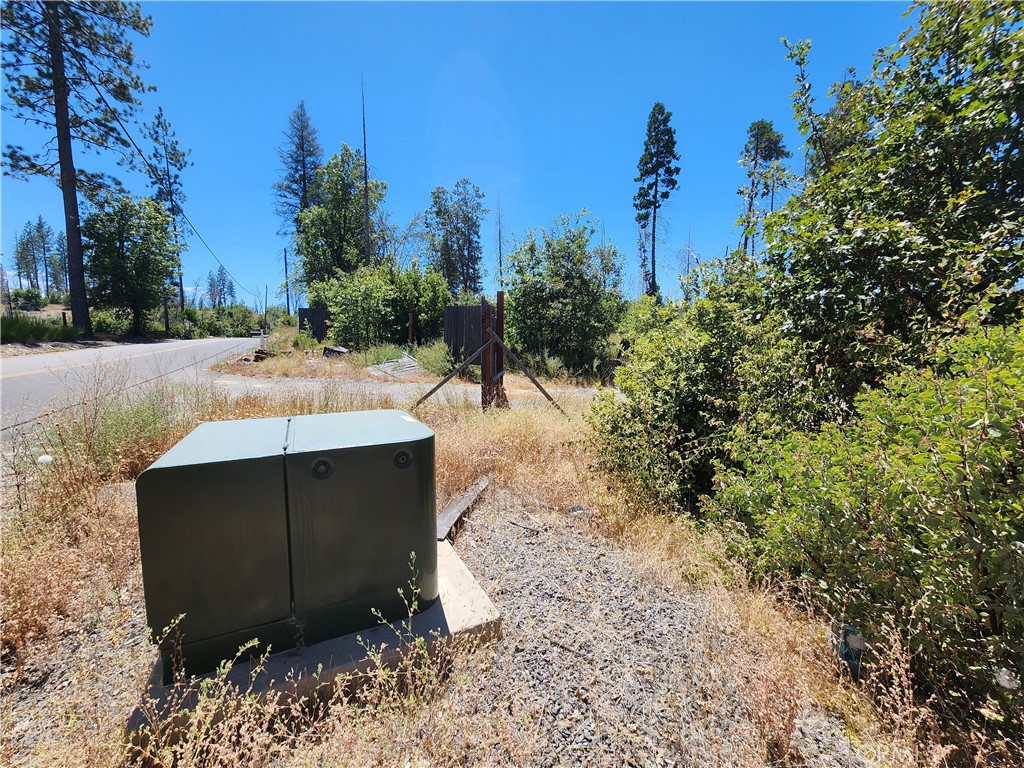 1145 Bald Rock Property Photo 4