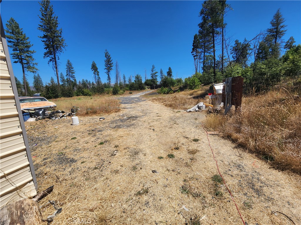 1145 Bald Rock Property Photo 8