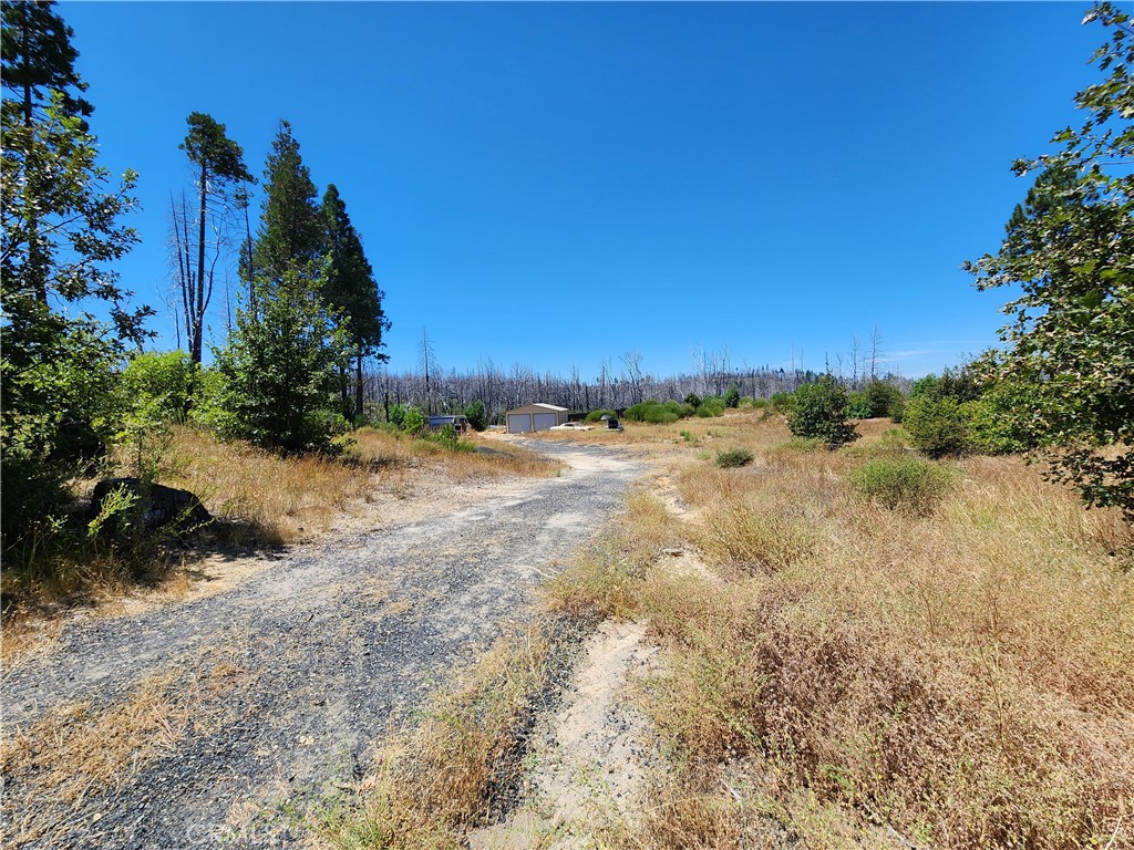 1145 Bald Rock Property Photo 12