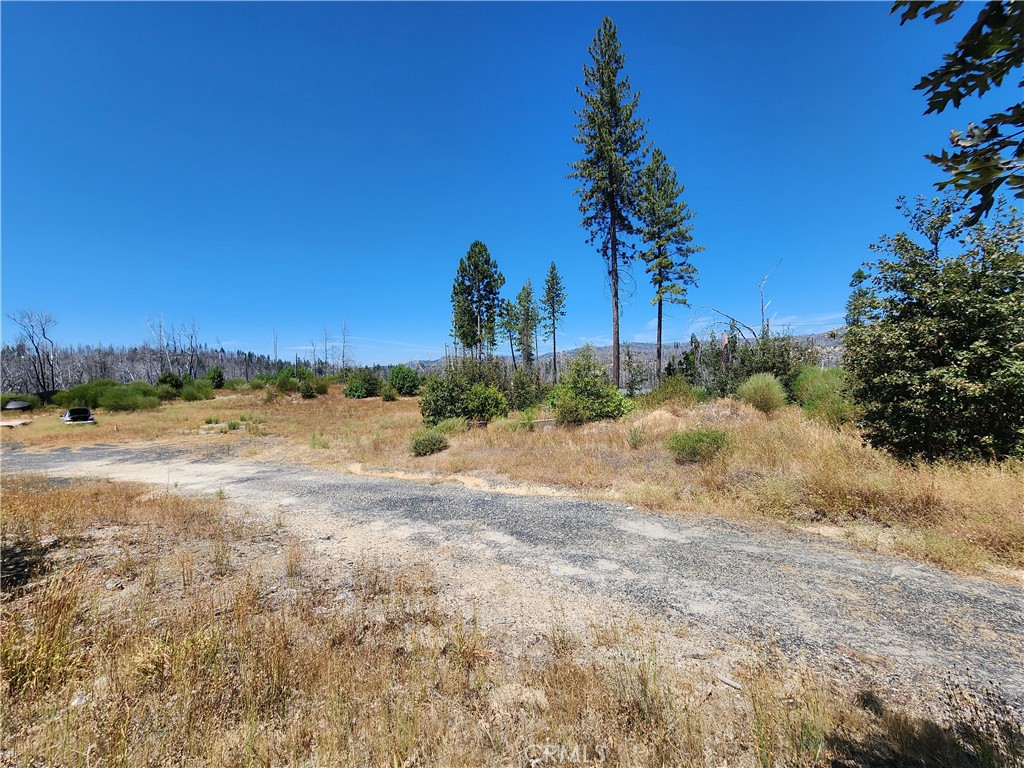 1145 Bald Rock Property Photo 13