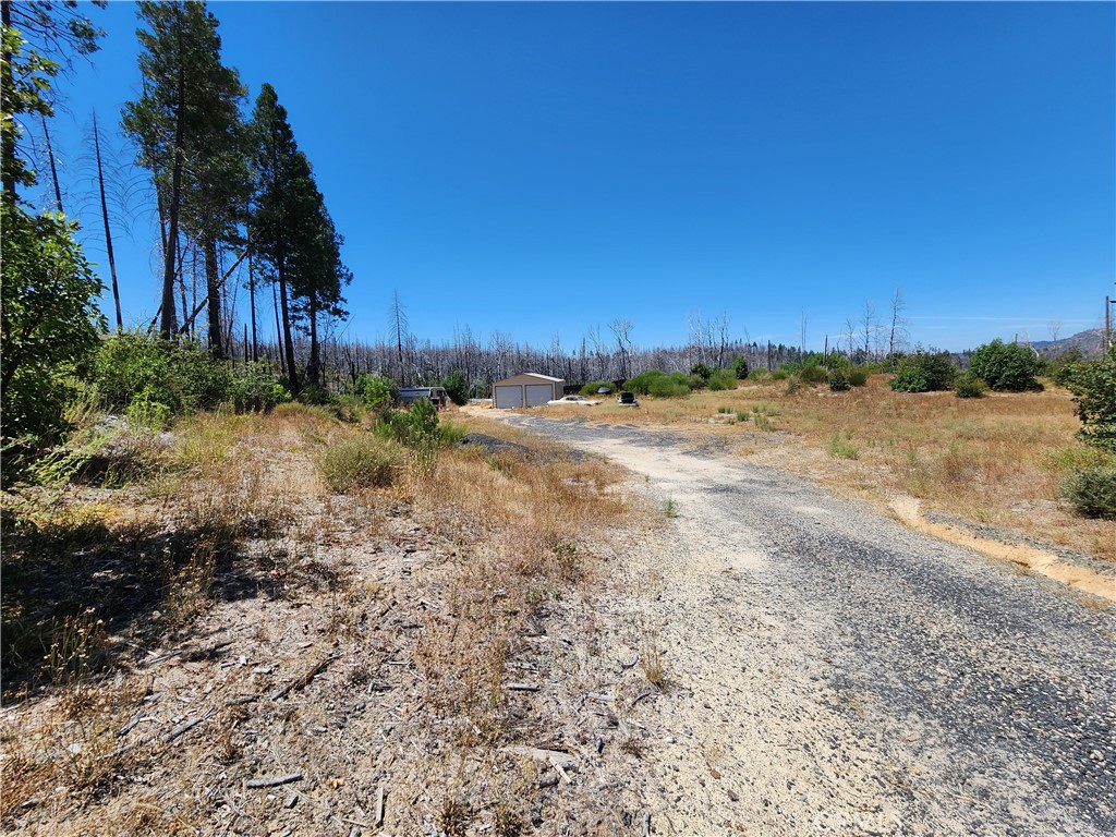 1145 Bald Rock Property Photo 14
