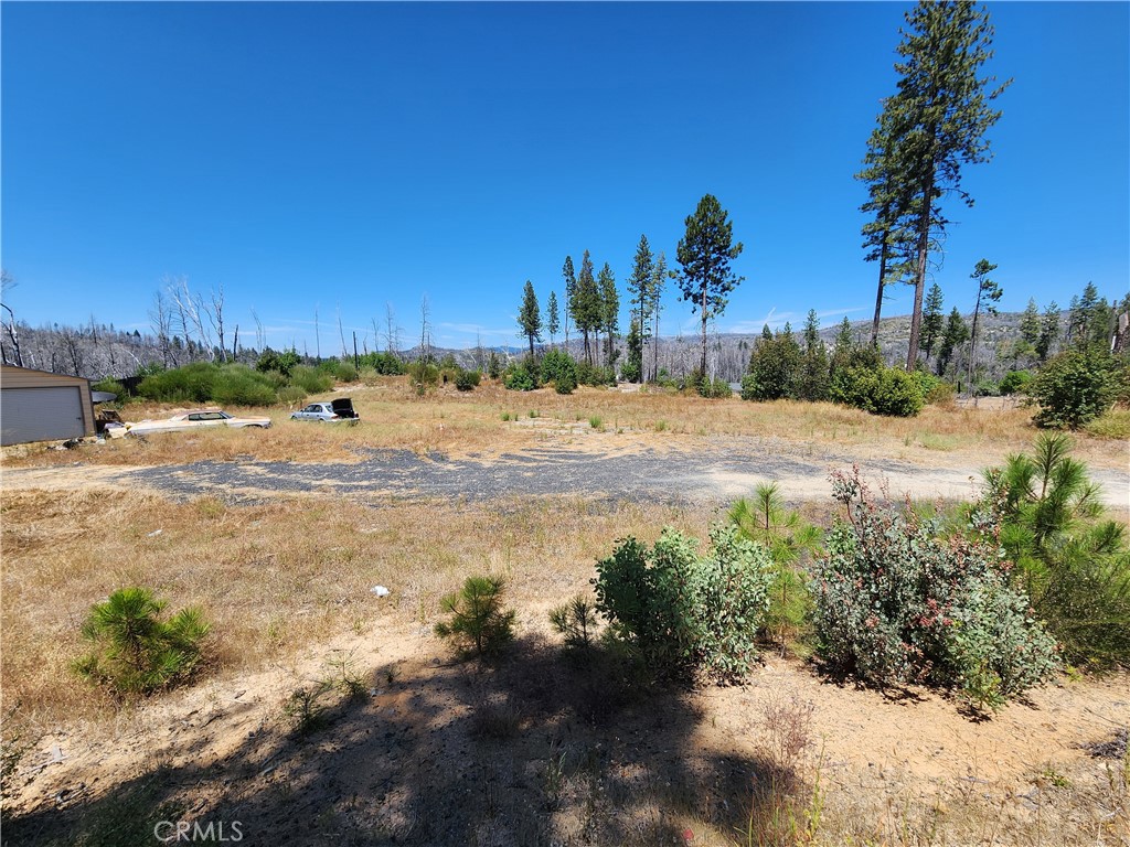 1145 Bald Rock Property Photo 15