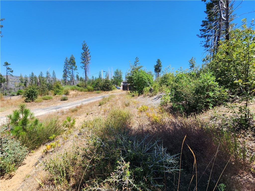 1145 Bald Rock Property Photo 17