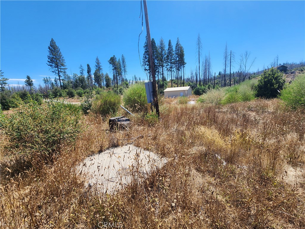1145 Bald Rock Property Photo 18