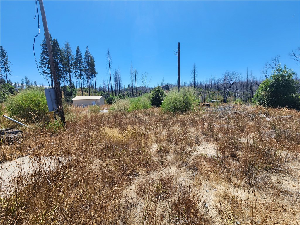 1145 Bald Rock Property Photo 19