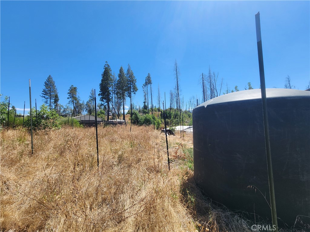 1145 Bald Rock Property Photo 20