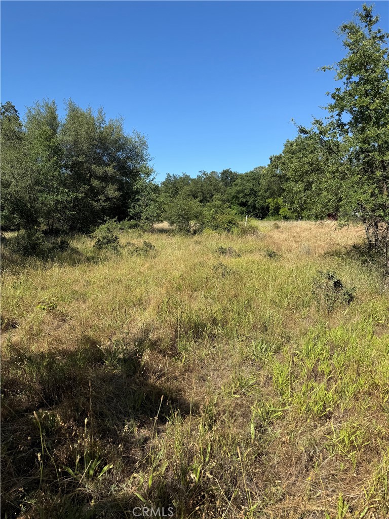 5037 Caroline Property Photo 4