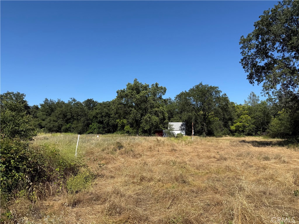 5037 Caroline Property Photo 5